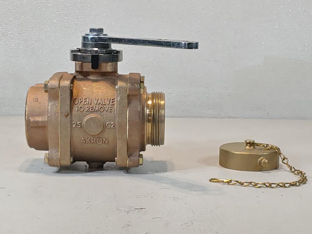 Akron 2.5" FNPT X 2.5" NST Brass Heavy-Duty Swing Out Valve 88250119