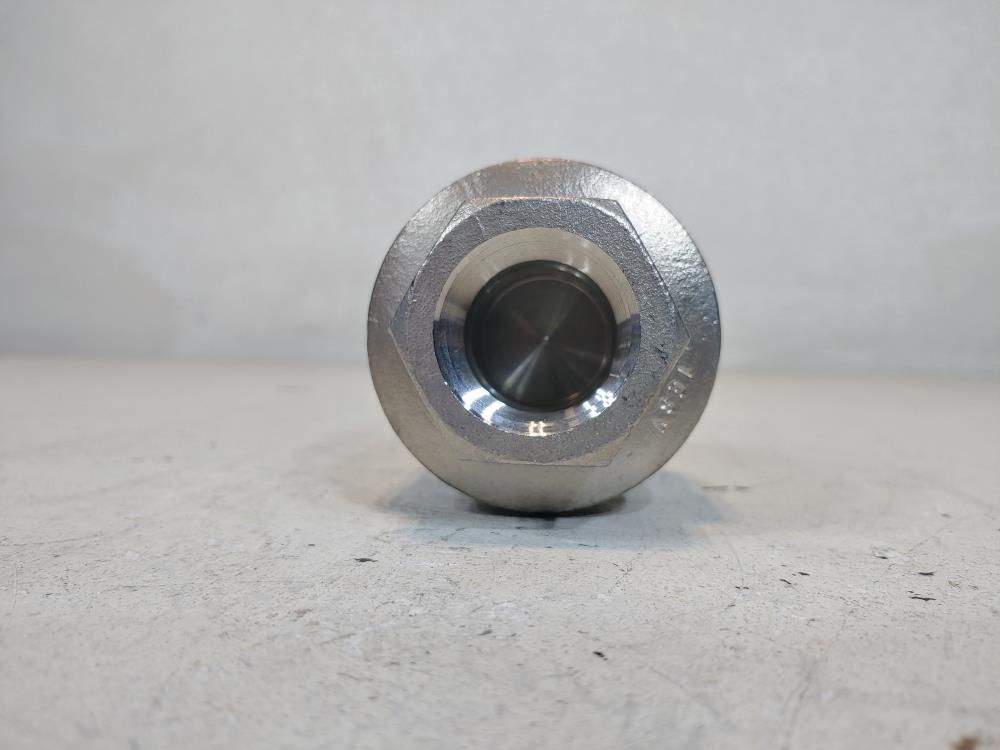 Watson 1" NPT WMC Stainless Check Valve CF8M