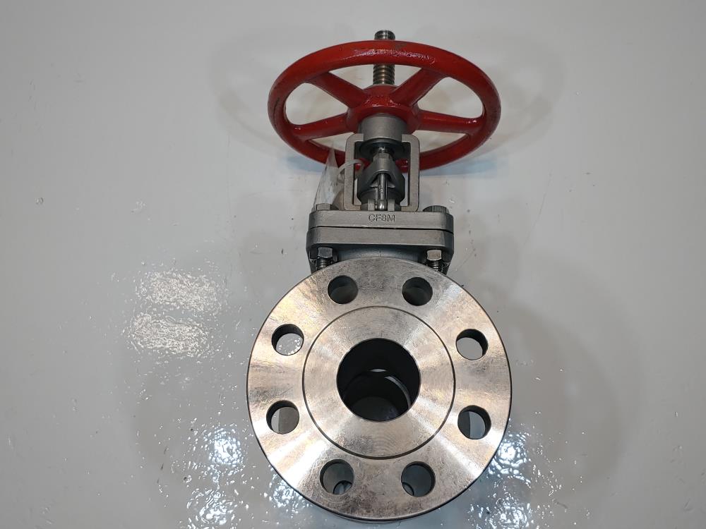 Aloyco 2" 300# RF CF8M Gate Valve