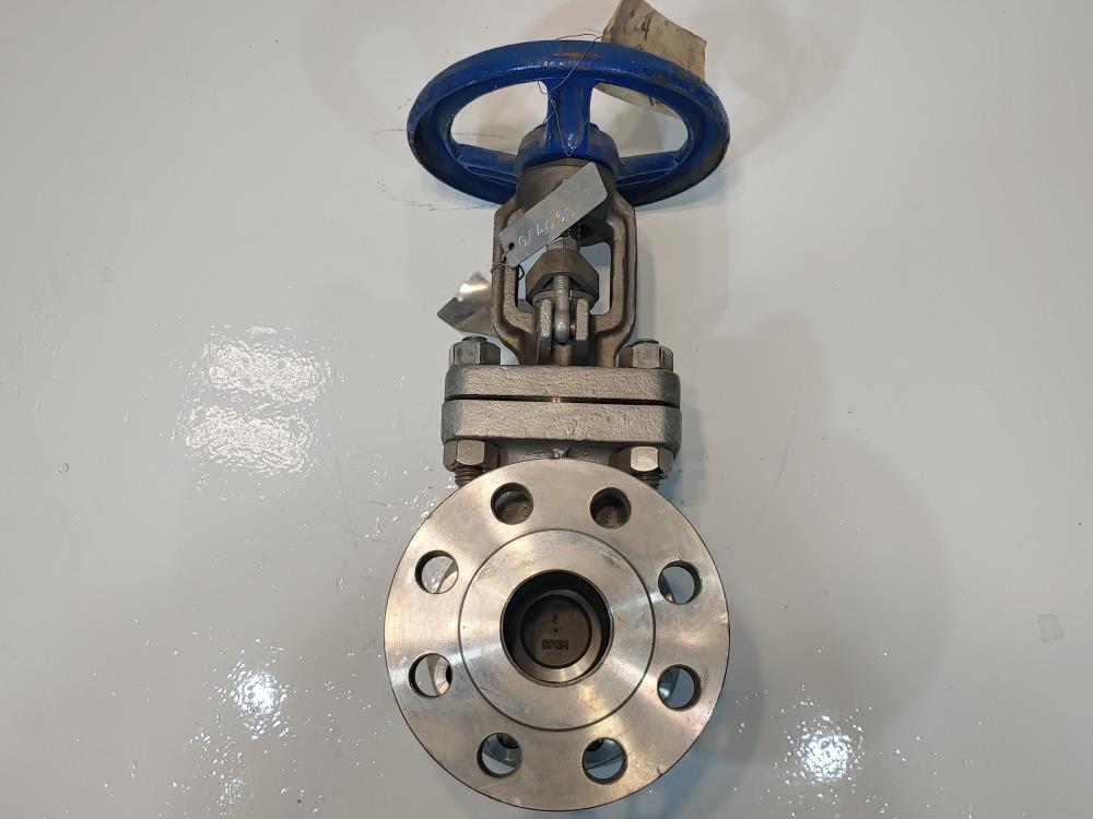 TY 2" 300# RF CF8M Gate Valve