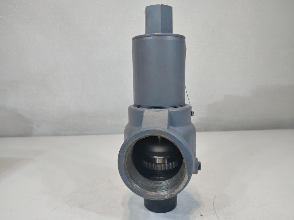 Kunkle 1-1/2" Relief Valve Model: 910BHGM01AJE