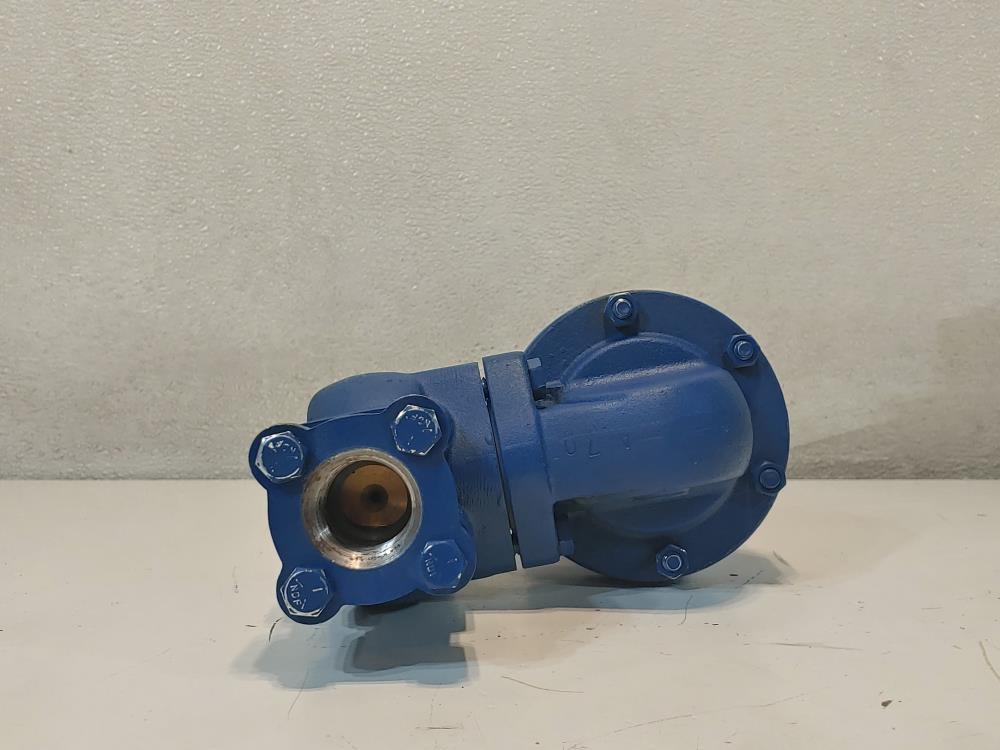 Wellmark Series 2001PR Pressure Regulator 1HS-2B12S