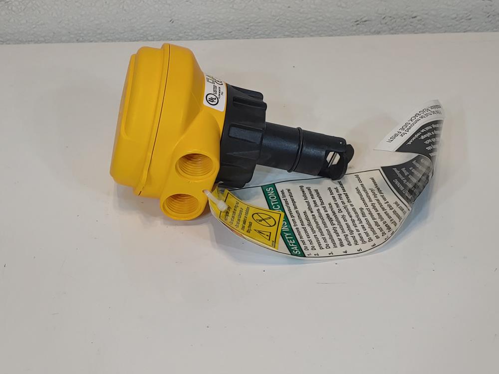 Signet 325376CP0 Georg Fischer Signet 2537 Paddlewheel Flow Sensor