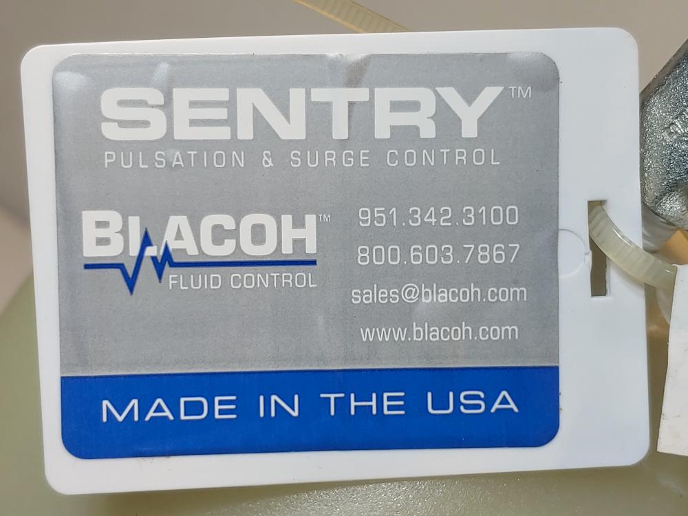 Sentry Blacoh A101TP Pulsation Dampener 2"FNPT