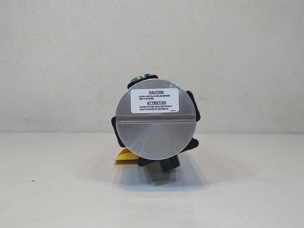 Thermon Caloritech Screw Plug Immersion Heater #CXFT204P28X-001