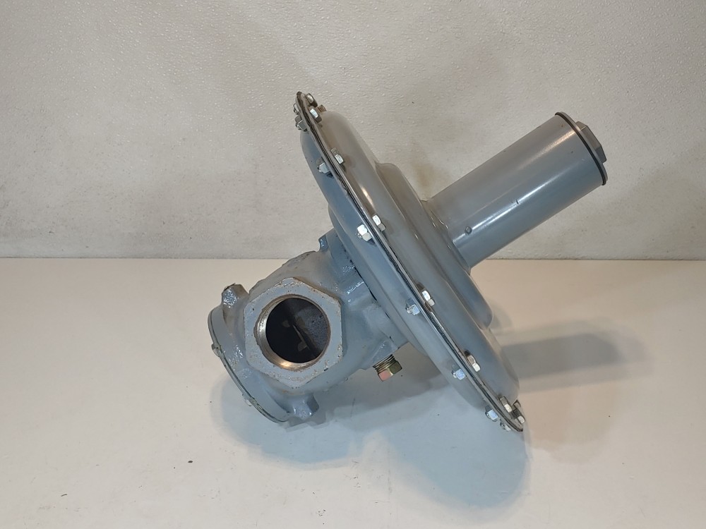 Fisher Controls 66R-1 Low-Pressure Relief Valves 2" NPT