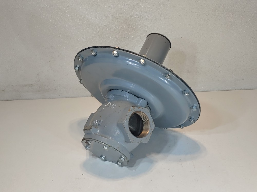 Fisher Controls 66R-1 Low-Pressure Relief Valves 2" NPT