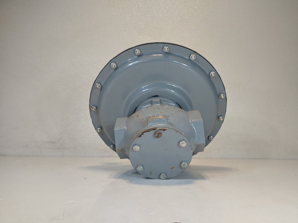 Fisher Controls 66R-1 Low-Pressure Relief Valves 2" NPT