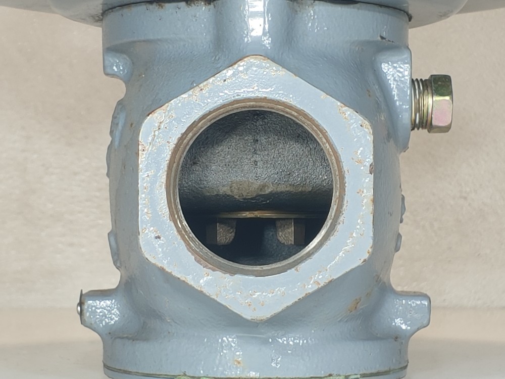Fisher Controls 66R-1 Low-Pressure Relief Valves 2" NPT