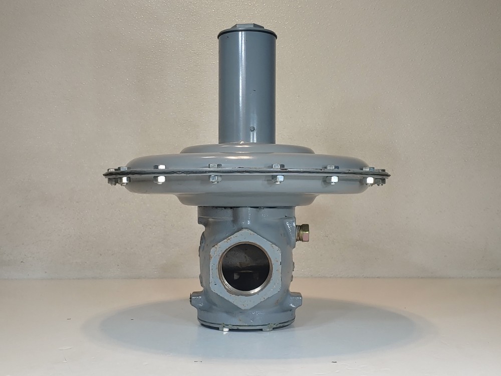 Fisher Controls 66R-1 Low-Pressure Relief Valves 2" NPT