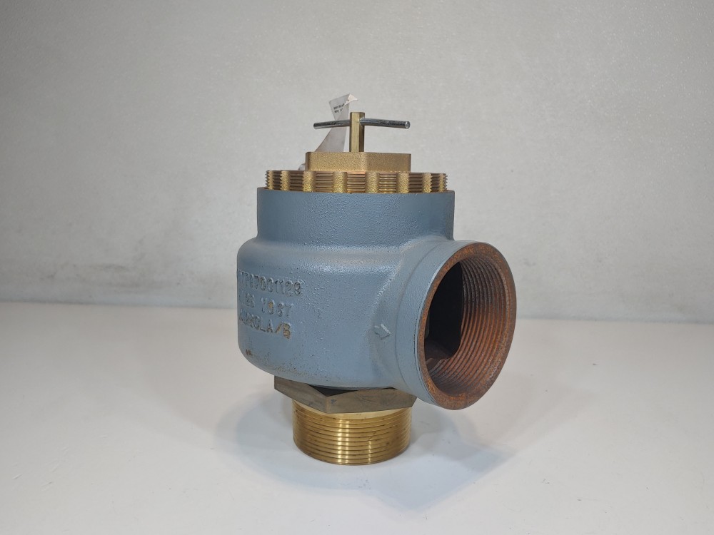 Kunkle 337 Blower Pressure Relief Valve, 3", NPT 0337-K01AKE