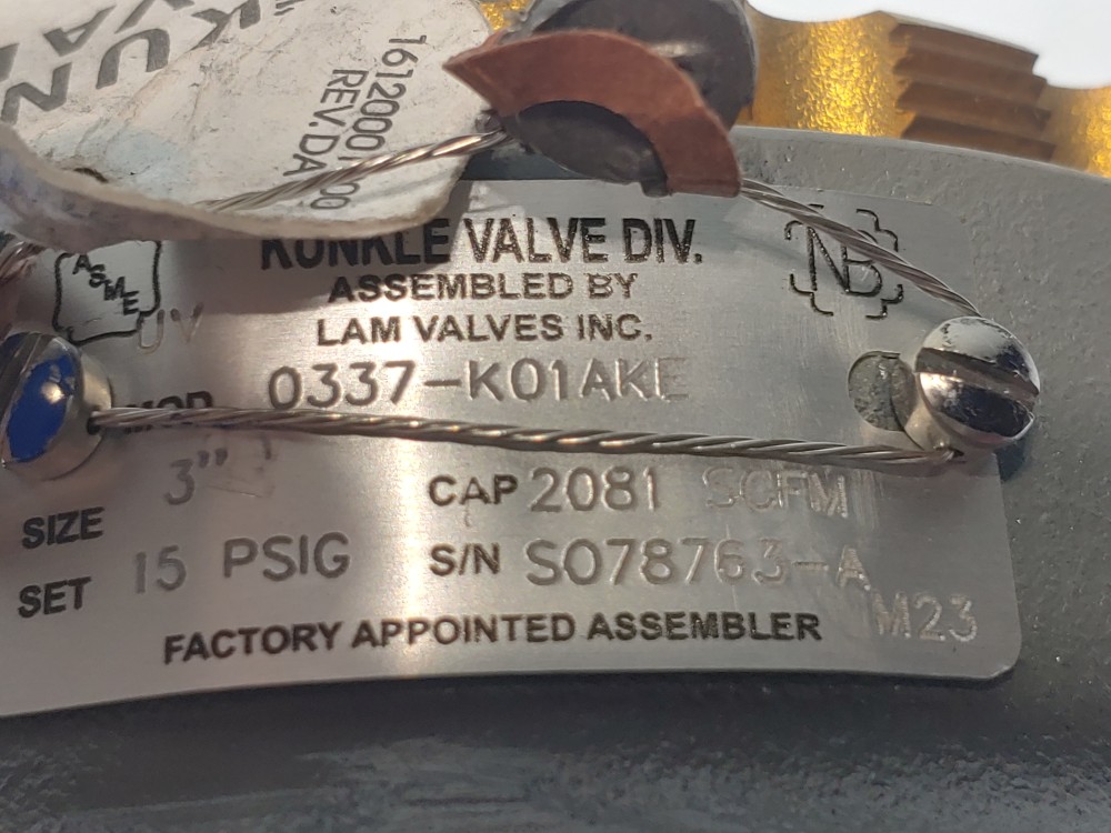 Kunkle 337 Blower Pressure Relief Valve, 3", NPT 0337-K01AKE