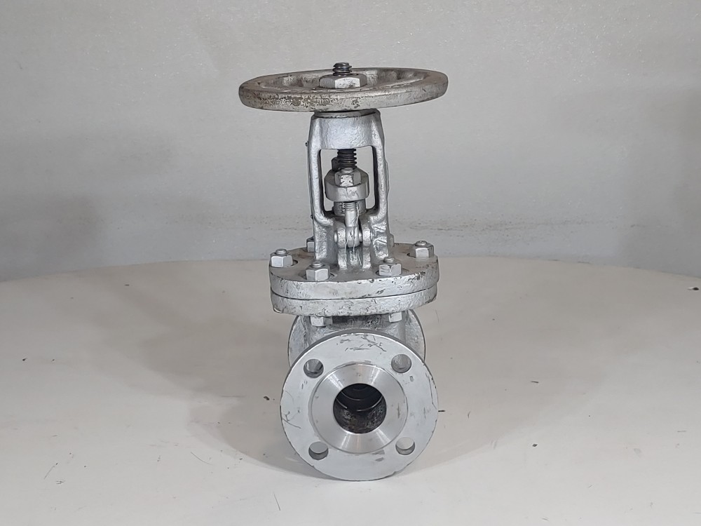 Newco 2" 150# RF WCB Flanged Gate Valve FIG: 11F-CB2