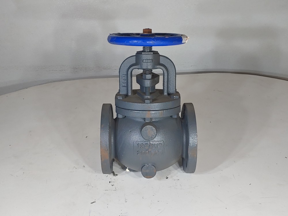 NIBCO 3" Flanged 125 SWP 200 WCG IBBM Globe Valve FIG: 718-B