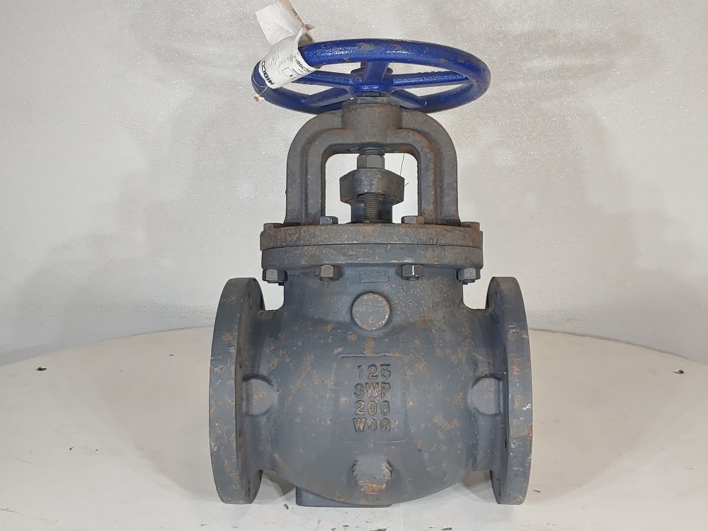 NIBCO 6" Flanged 125 SWP 200 WOG IBBM Globe Valve FIG: F718-B