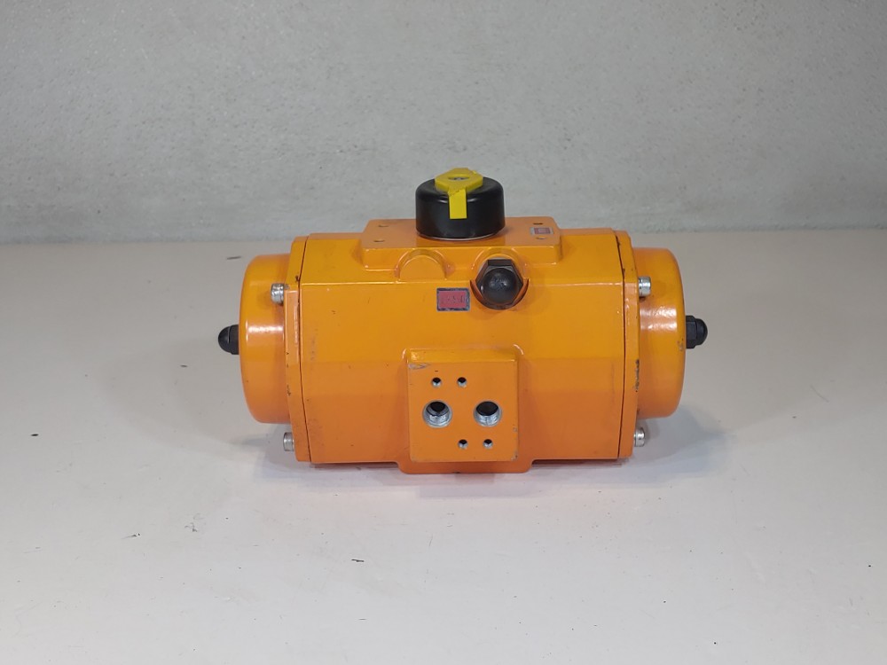 Bettis Pneumatic Valve Actuator DSD100.B2A03K.19K0