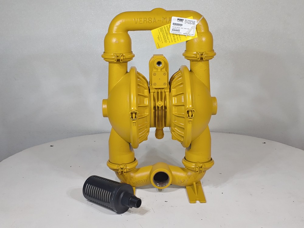Versamatic 2" ELIMA-MATIC Cast Iron Double Diaphragm Pump E2CA1R110