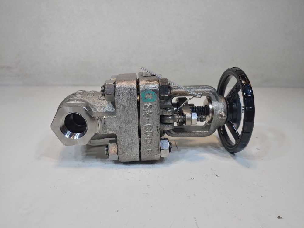 Kitz 3/4" NPT 150# CN7M Gate Valve AK600UMCN