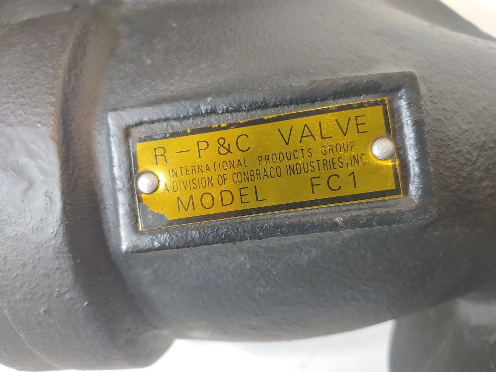 RP&C Valve FC1 2-1/2" 125# RF Flanged Y Strainer