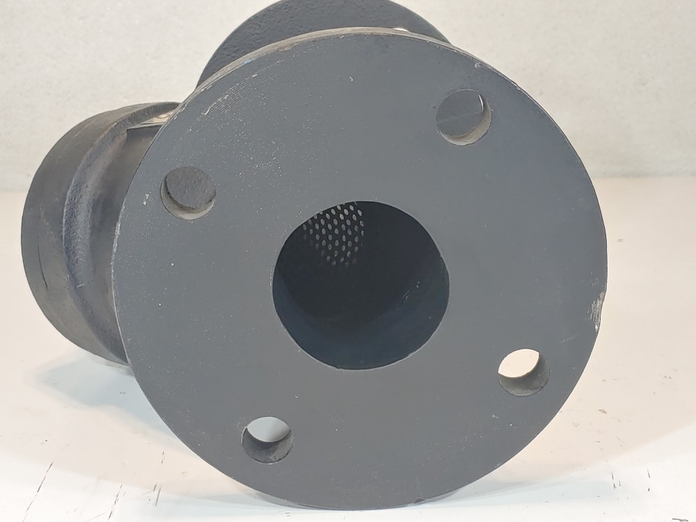 RP&C Valve FC1 2-1/2" 125# RF Flanged Y Strainer