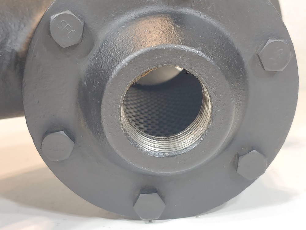 RP&C Valve FC1 2-1/2" 125# RF Flanged Y Strainer