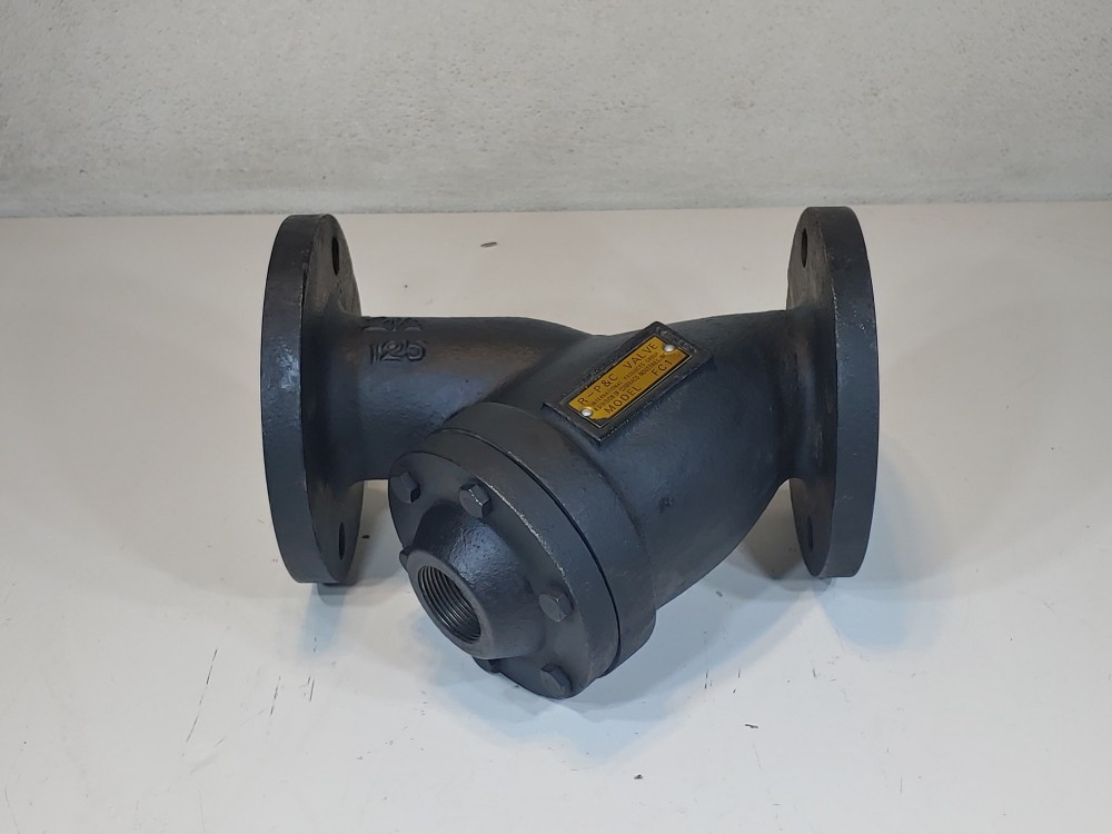RP&C Valve FC1 2-1/2" 125# RF Flanged Y Strainer