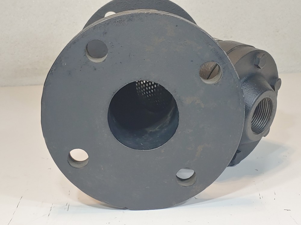 RP&C Valve FC1 2-1/2" 125# RF Flanged Y Strainer