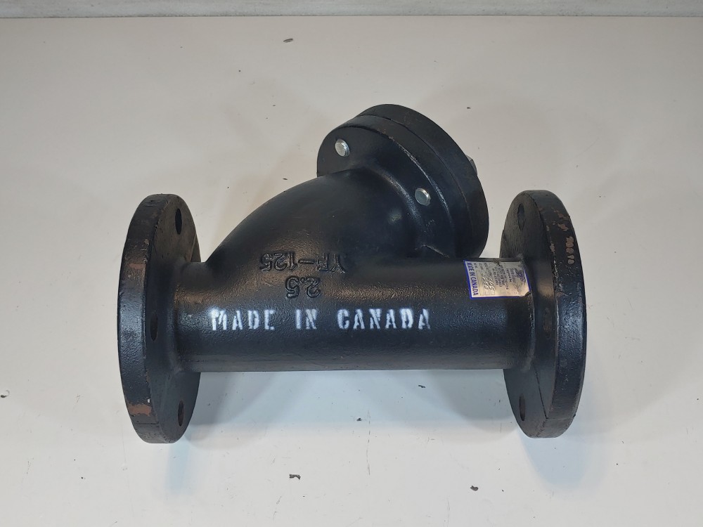 Sure Flow YF-125  2-1/2" 125# RF Flanged Y Strainer