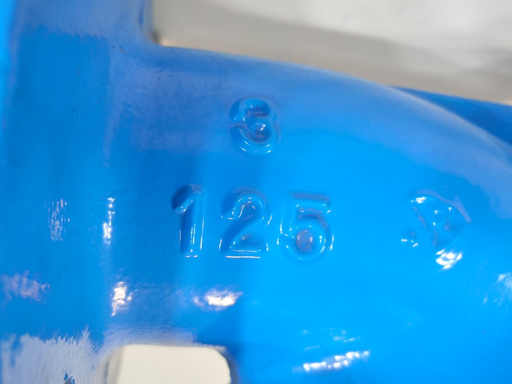 Conbraco Model F1,  3" 125# RF CI Flanged Y Strainer