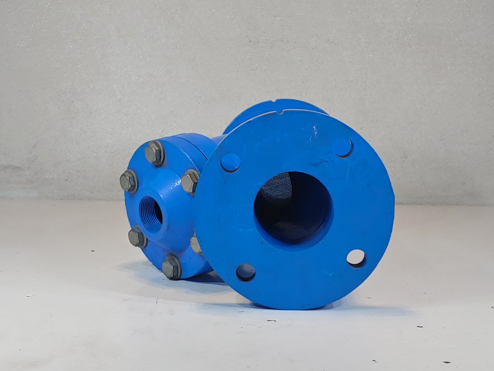 Conbraco Model F1,  3" 125# RF CI Flanged Y Strainer