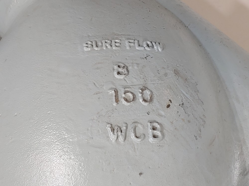 Sure Flow 8" 150# WCB Flanged Y-Strainer  YFC150