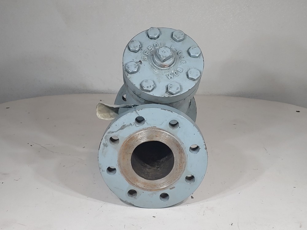 Sure Flow 4" 300# WCB Flanged Y-Strainer YFC300