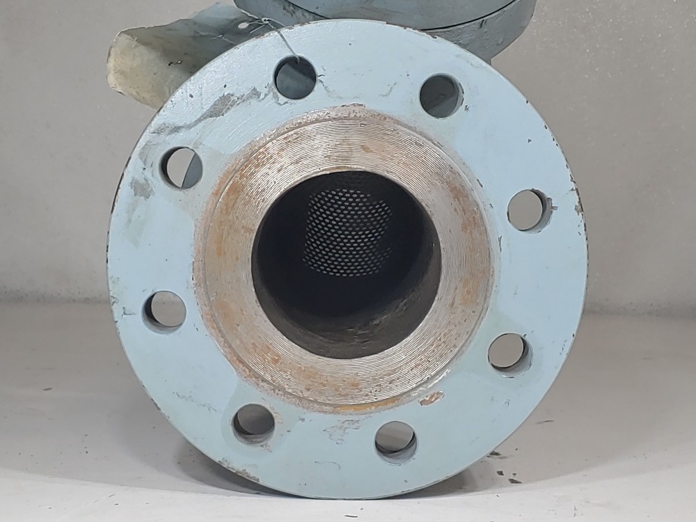Sure Flow 4" 300# WCB Flanged Y-Strainer YFC300