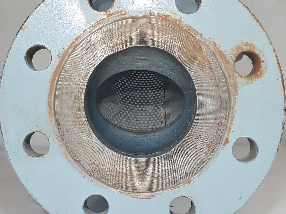 Sure Flow 4" 300# WCB Flanged Y-Strainer YFC300