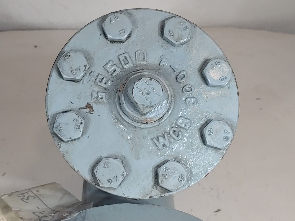 Sure Flow 4" 300# WCB Flanged Y-Strainer YFC300