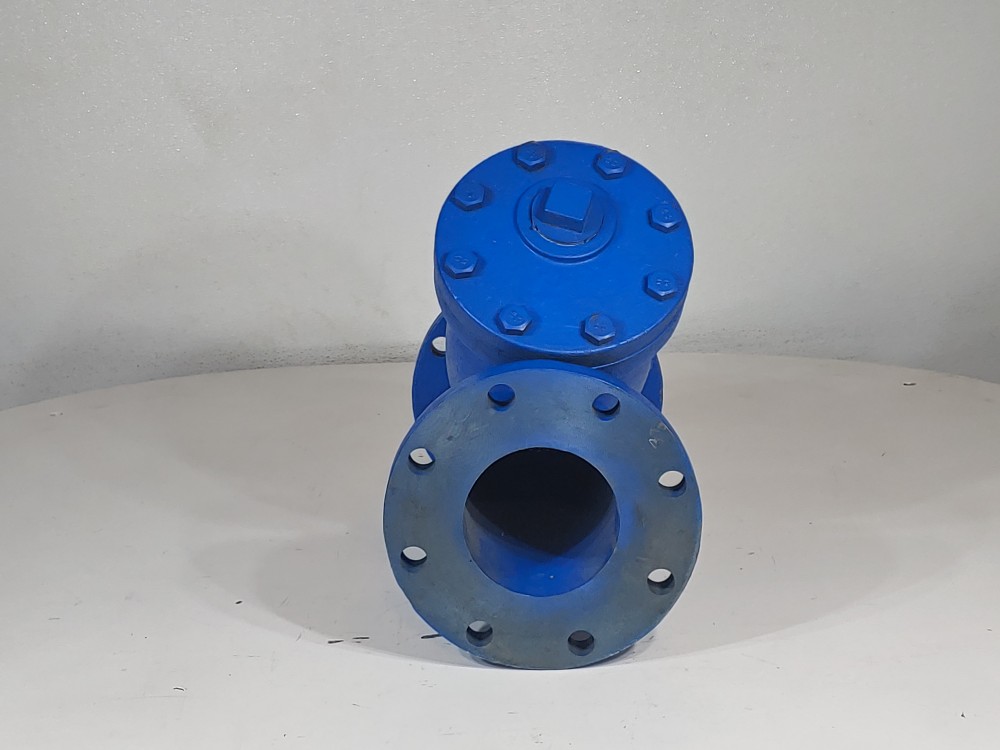 Sure Flow 5" 125# SWP C1-A126 Flanged Wye Y-Strainer YF-125J