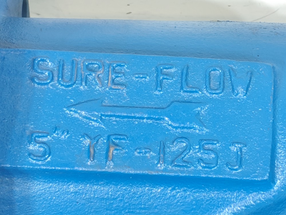 Sure Flow 5" 125# SWP C1-A126 Flanged Wye Y-Strainer YF-125J