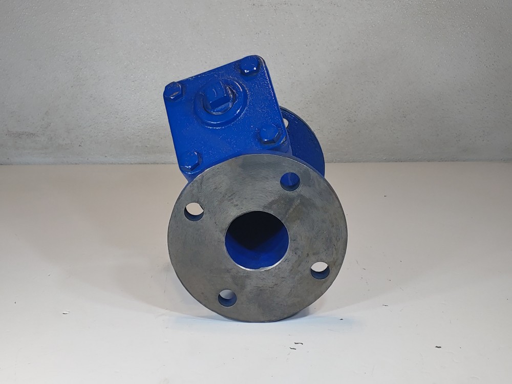 Sure Flow 2-1/2" 125# SWP C1-A126 Flanged Wye Y-Strainer YF-125J