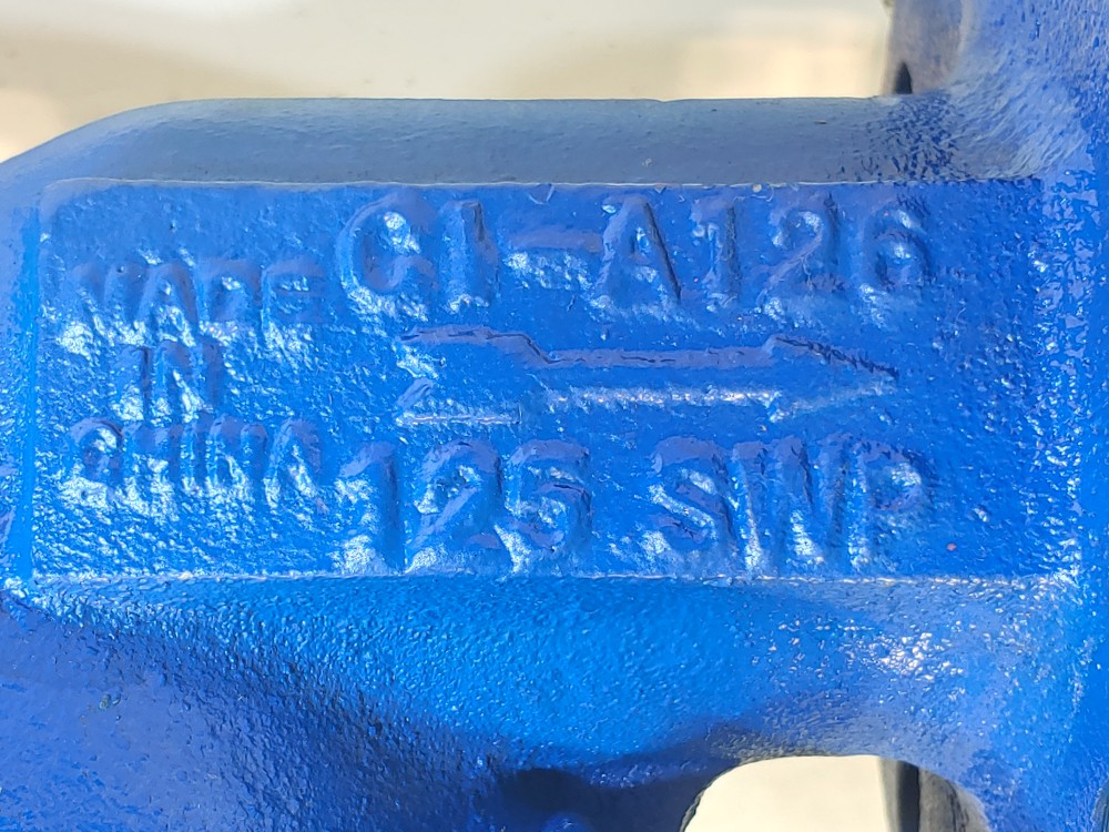 Sure Flow 2-1/2" 125# SWP C1-A126 Flanged Wye Y-Strainer YF-125J