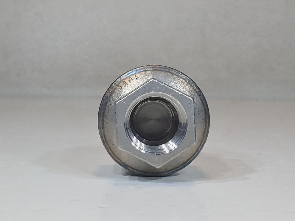 Watson McDaniel WSSCV-13 316SS Check Valve 3/4" NPT 