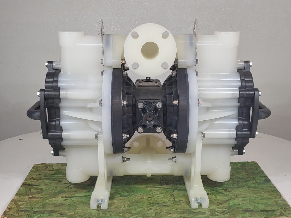 Versamatic 2" Elima-Matic Bolted Flap Pump E2PP2R2S9A-F