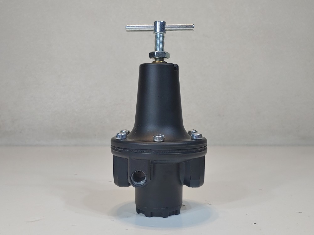 Parker Watts R119-04C - 1/2" NPT Pressure Regulator 