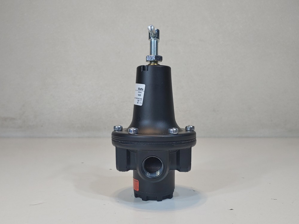 Parker Watts R119-04C - 1/2" NPT Pressure Regulator 