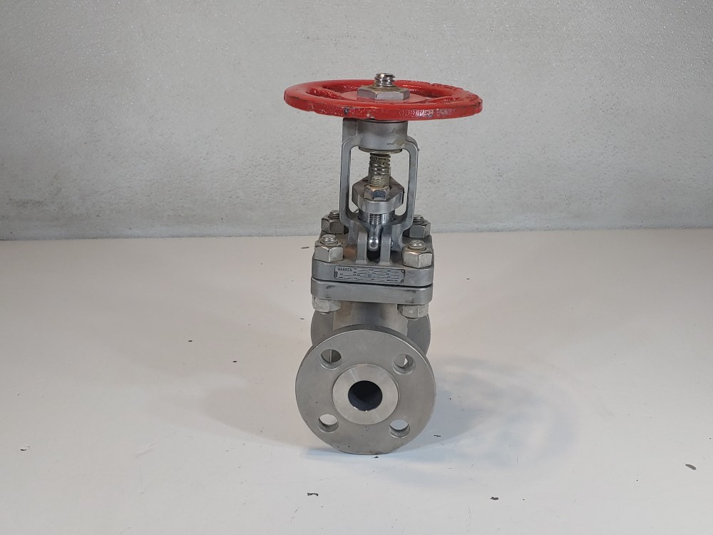 Warren 1" 150# CF8M Gate Valve Figure 1156-12N-624-SSBCL1