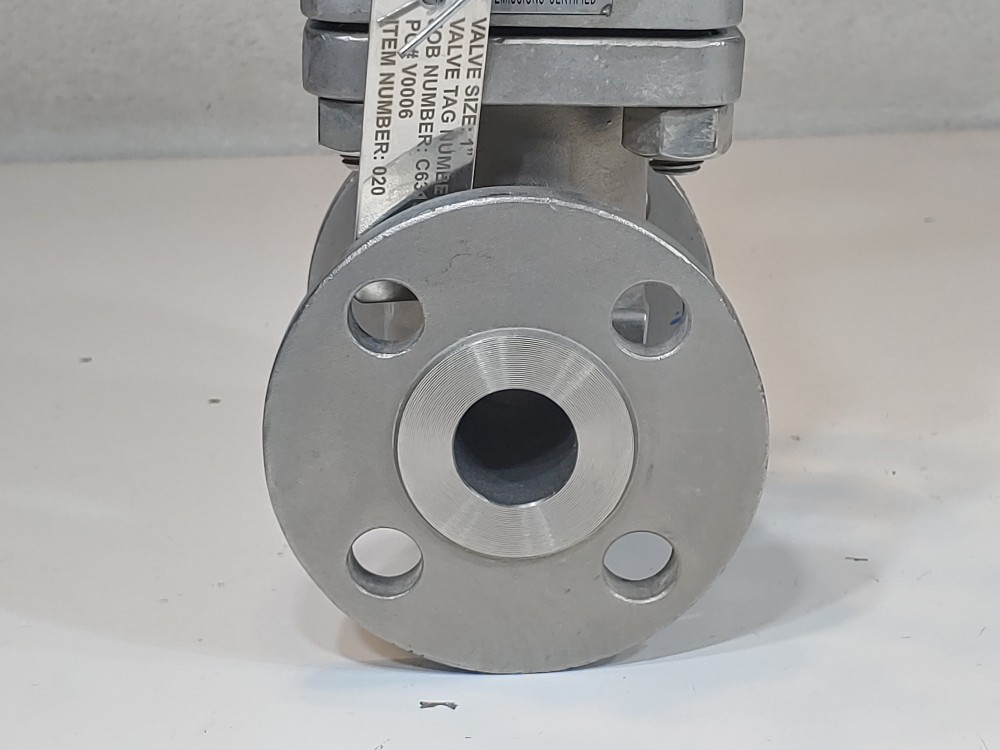 Warren 1" 150# CF8M Gate Valve Figure 1156-12N-624-SSBCL1