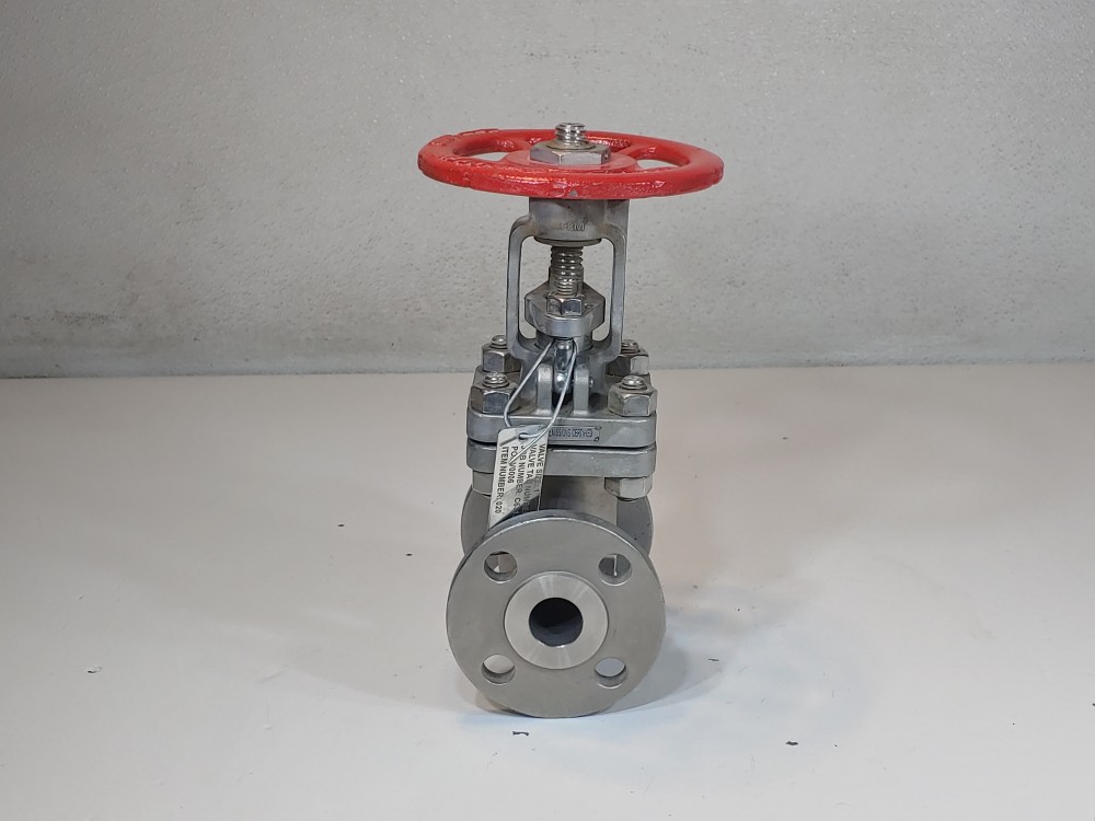 Warren 1" 150# CF8M Gate Valve Figure 1156-12N-624-SSBCL1