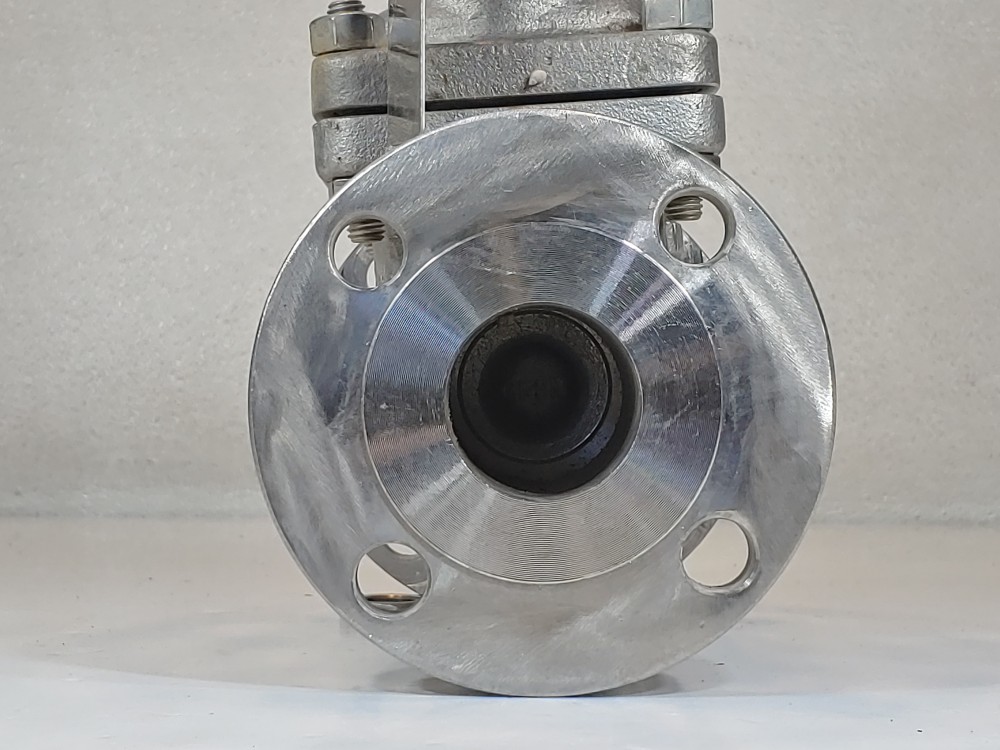 Warren 2" 150# RF CF8M Gate Valve Fig: 1156-12N-624-SSBCL1