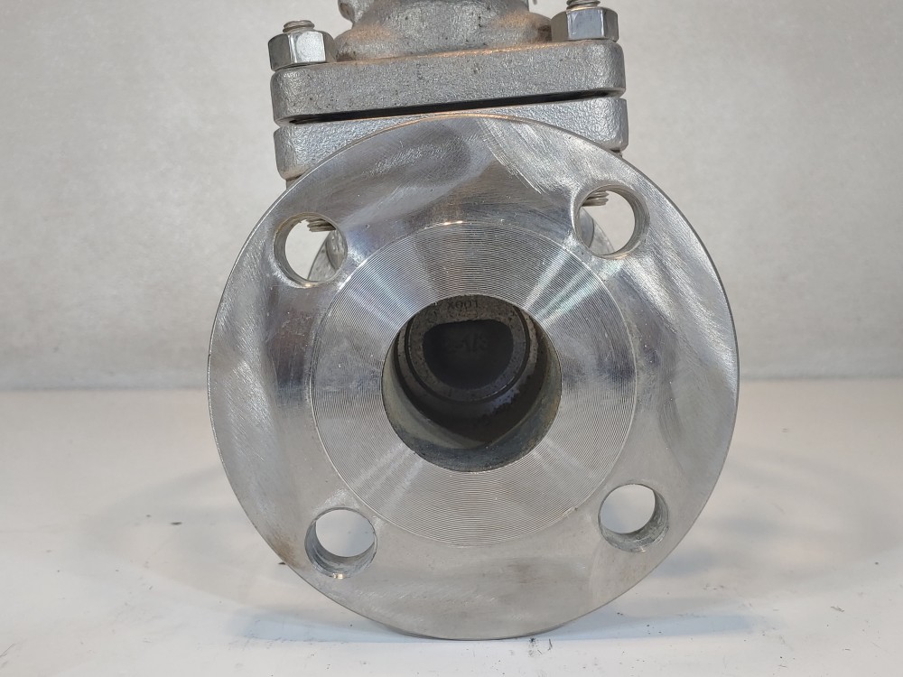 Warren 2" 150# RF CF8M Gate Valve Fig: 1156-12N-624-SSBCL1