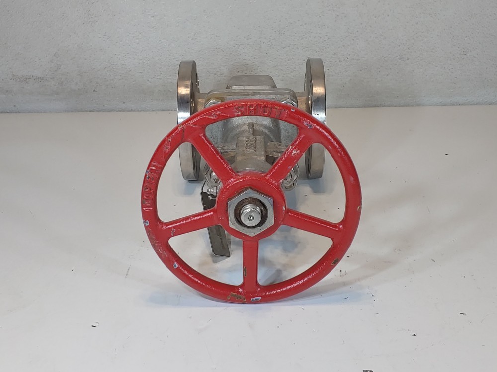 Warren 2" 150# RF CF8M Gate Valve Fig: 1156-12N-624-SSBCL1