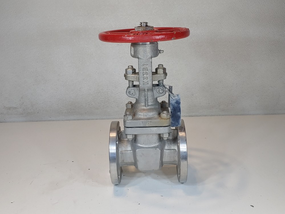 Warren 2" 150# RF CF8M Gate Valve Fig: 1156-12N-624-SSBCL1